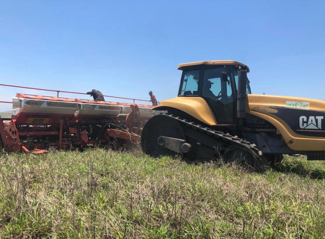 Potato planting equipment in Zimbabwe